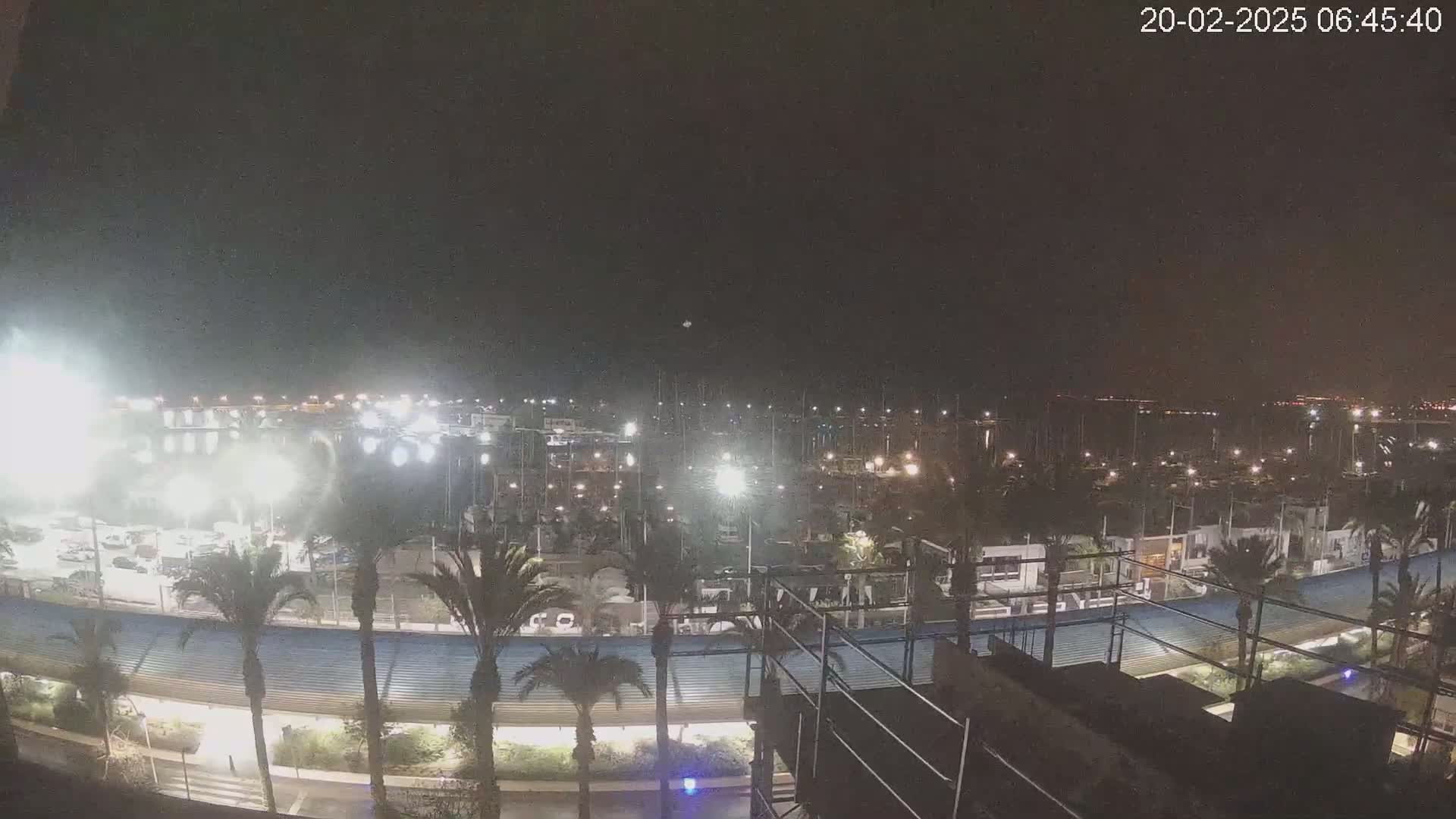 A nighttime view of a marina filled with boats, surrounded by palm trees and lit by artificial lights under a clear, dark sky.
