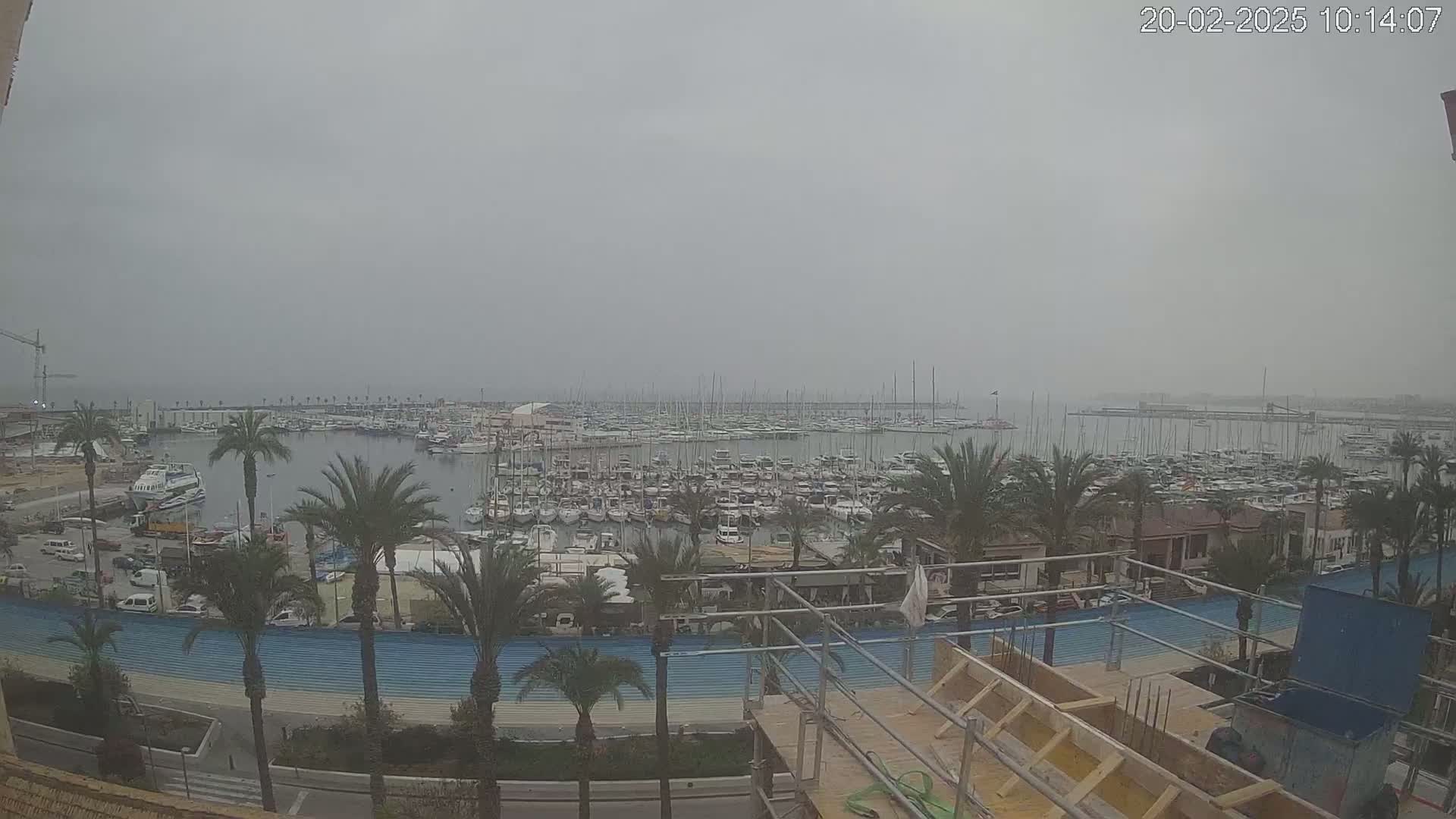 A hazy, overcast day reveals a marina filled with numerous boats and sailboats, overlooked by palm trees and a construction site.