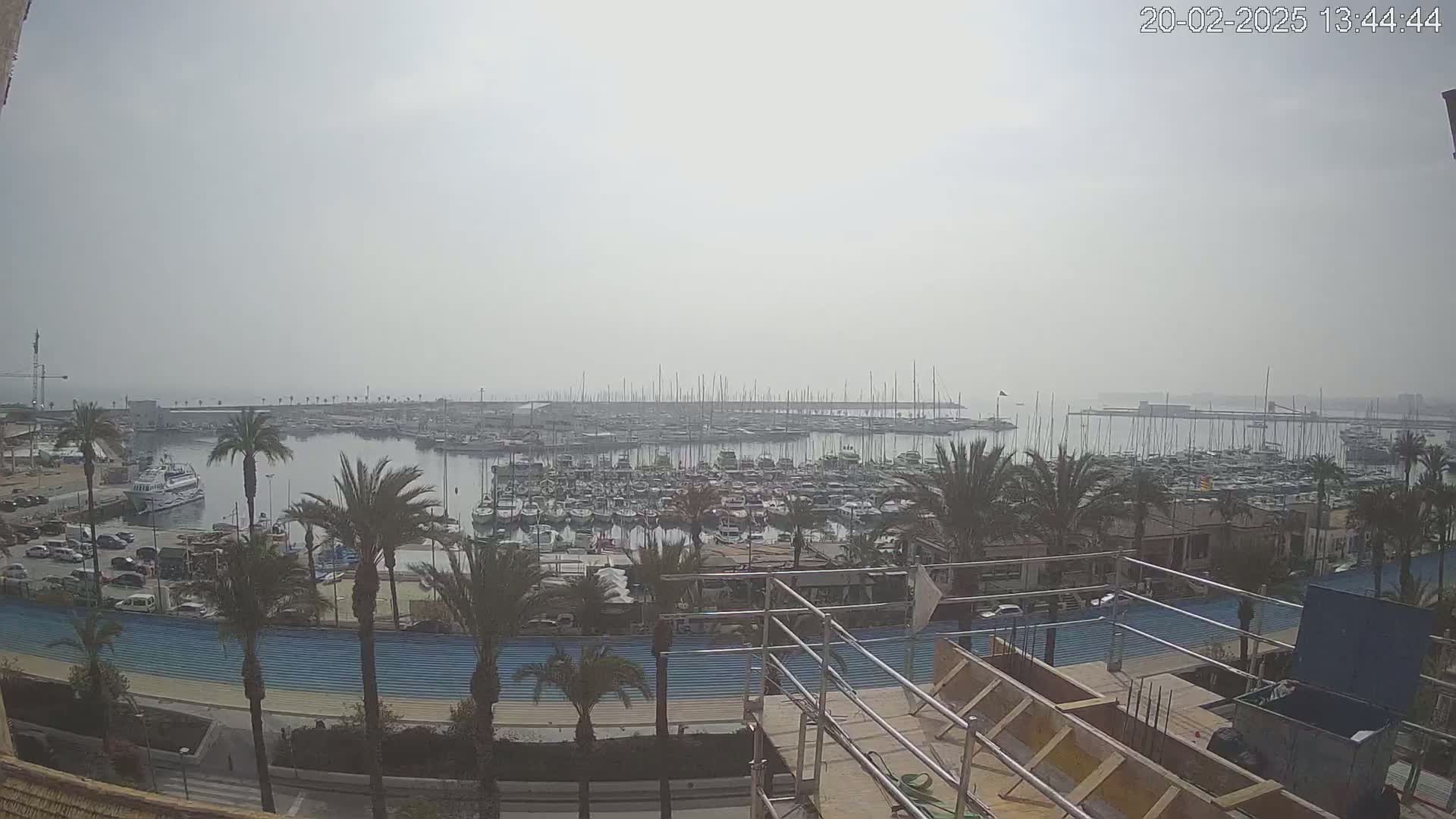 A hazy view of a marina filled with numerous boats, palm trees lining a promenade, and construction scaffolding in the foreground.
