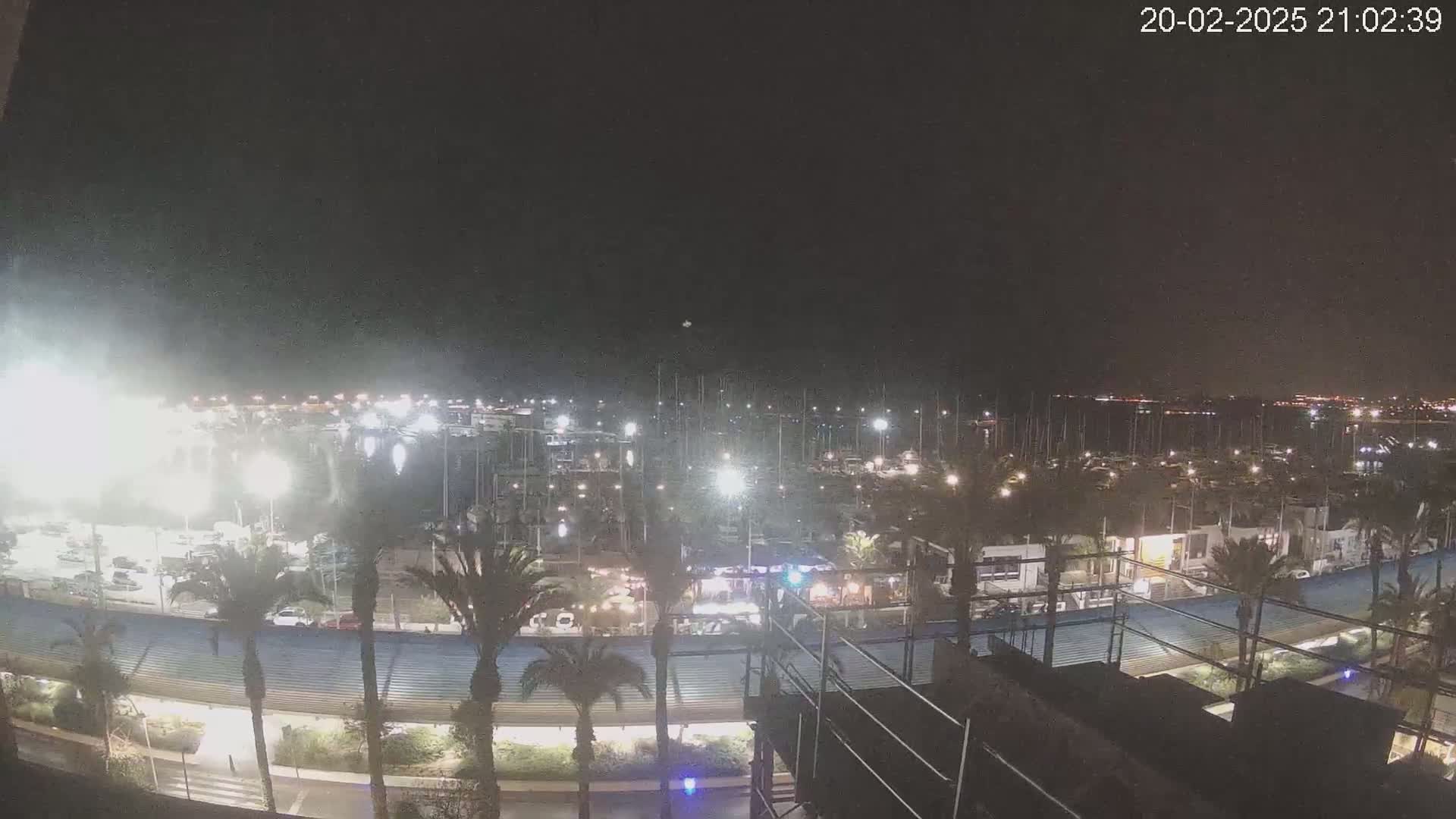 A nighttime view of a marina filled with boats, illuminated by artificial lights, under a clear, dark sky.