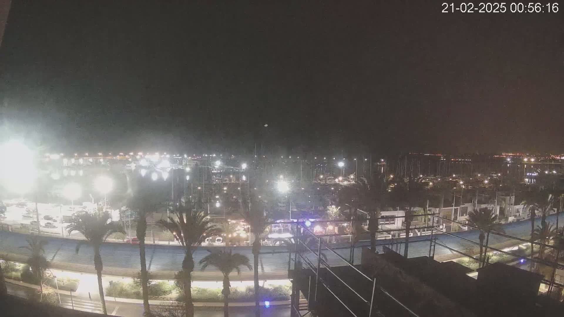 A nighttime, brightly lit marina filled with boats, surrounded by palm trees and buildings.