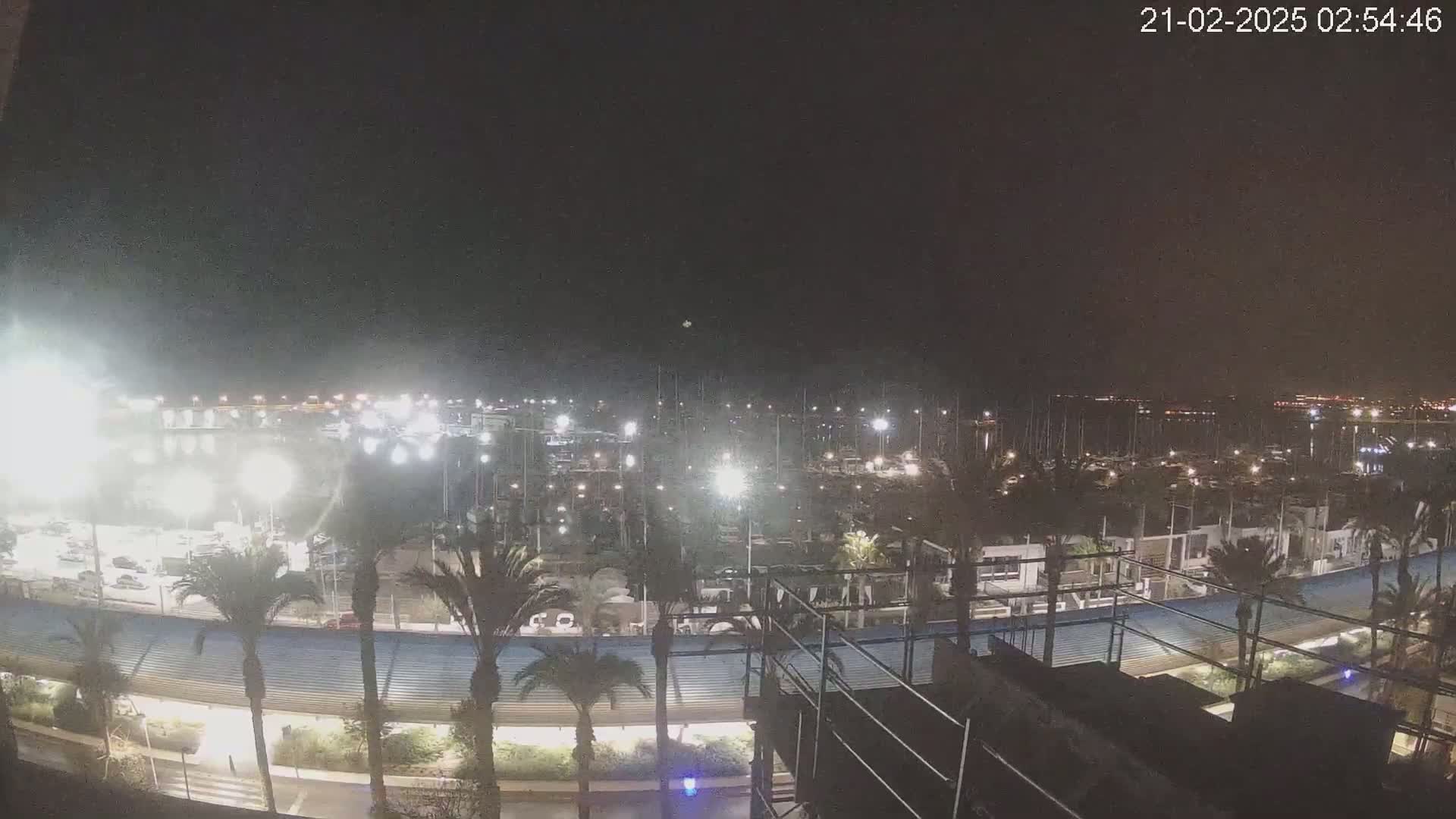 A nighttime view of a marina filled with boats, illuminated by lights, with palm trees lining a walkway along the waterfront under a clear, dark sky.