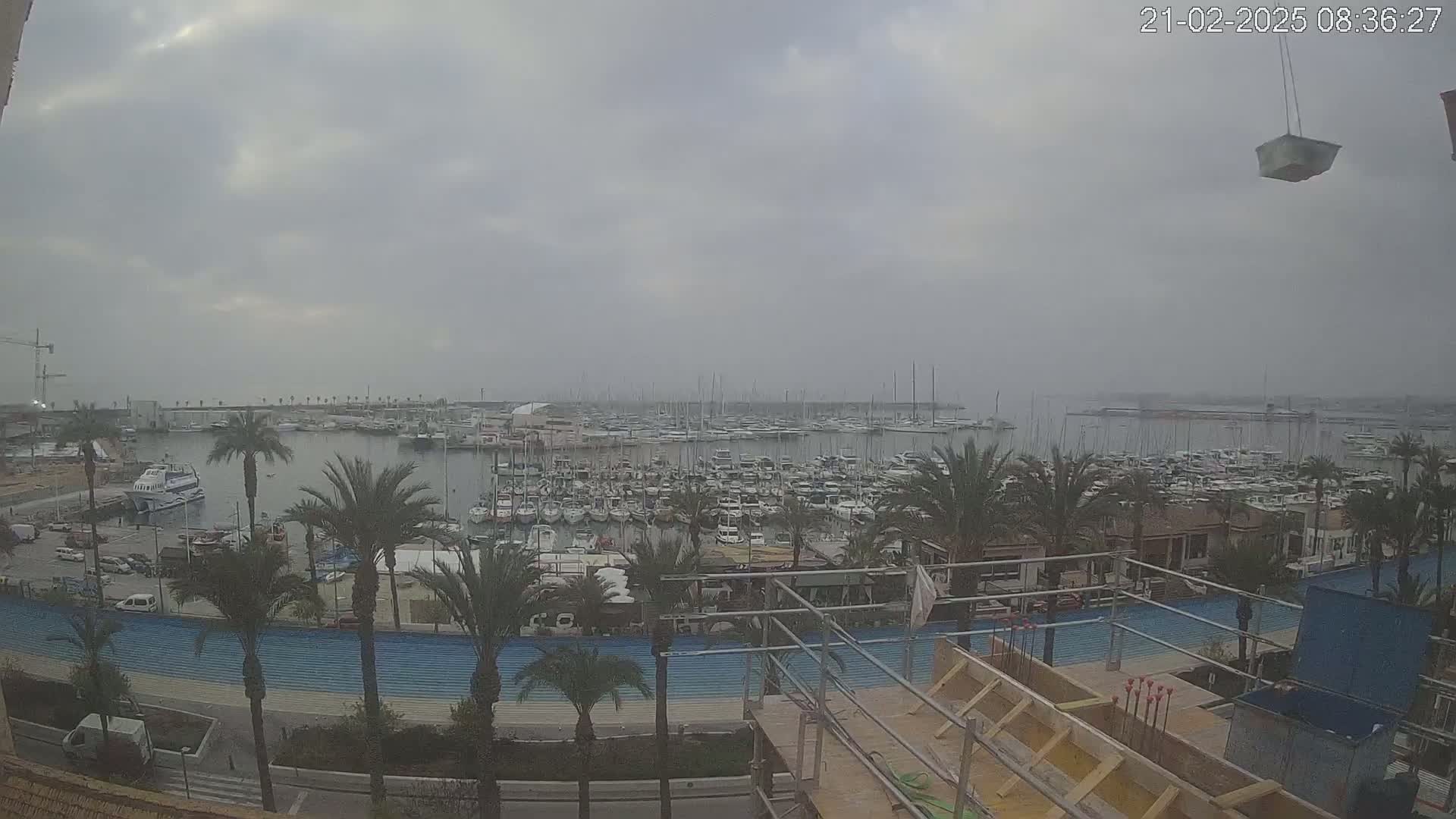 A large marina filled with boats is viewed from an elevated position on an overcast day, with palm trees lining a waterfront promenade under construction.