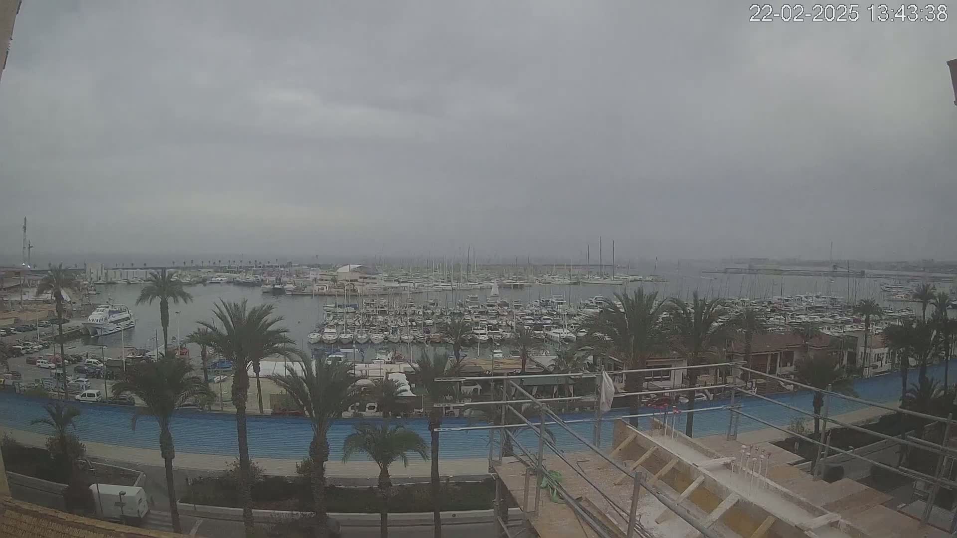A harbor filled with numerous boats is viewed from an elevated position on an overcast day, with palm trees and construction scaffolding in the foreground.