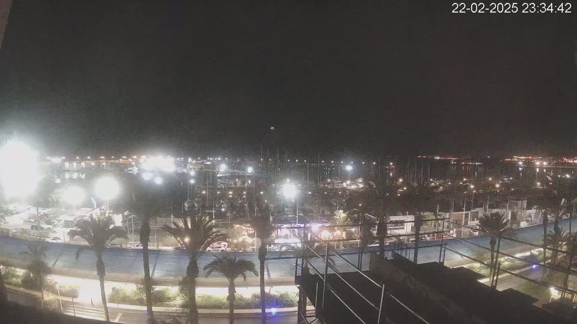 A nighttime view of a marina filled with boats, illuminated by lights, with palm trees lining a nearby roadway under a clear, dark sky.
