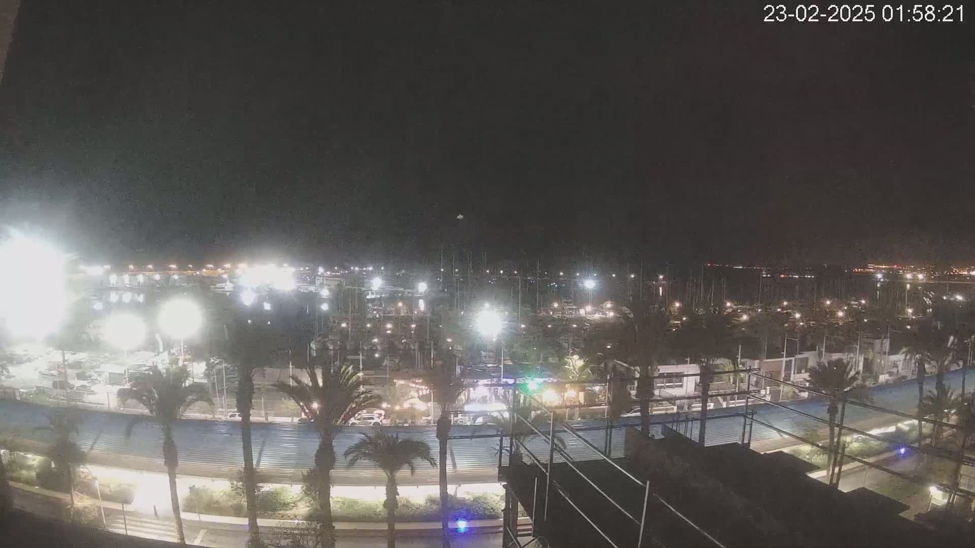 A nighttime, brightly lit marina filled with boats is visible from a high vantage point, under a clear, dark sky.