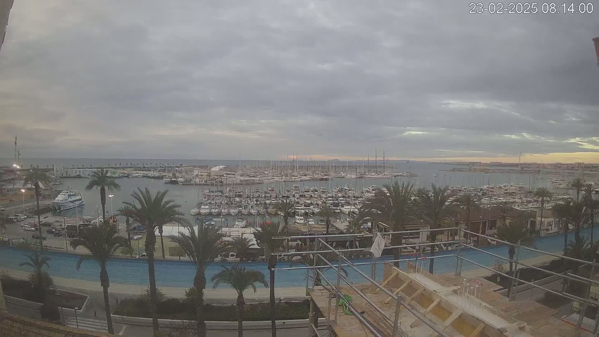 A harbor filled with numerous boats is seen under an overcast sky, with palm trees lining the waterfront and construction visible in the foreground.