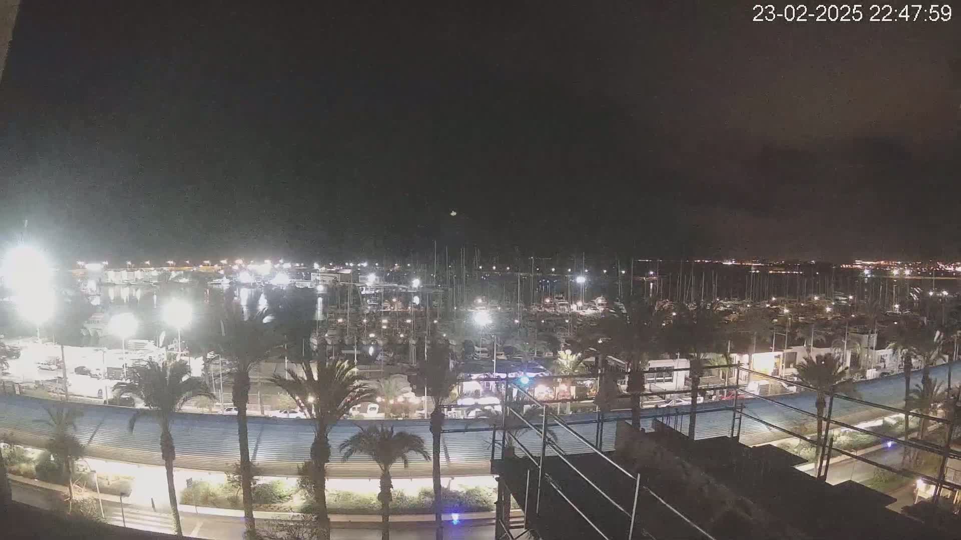 A nighttime view of a marina filled with boats, illuminated by many lights, surrounded by palm trees and a waterfront structure under a clear, dark sky.