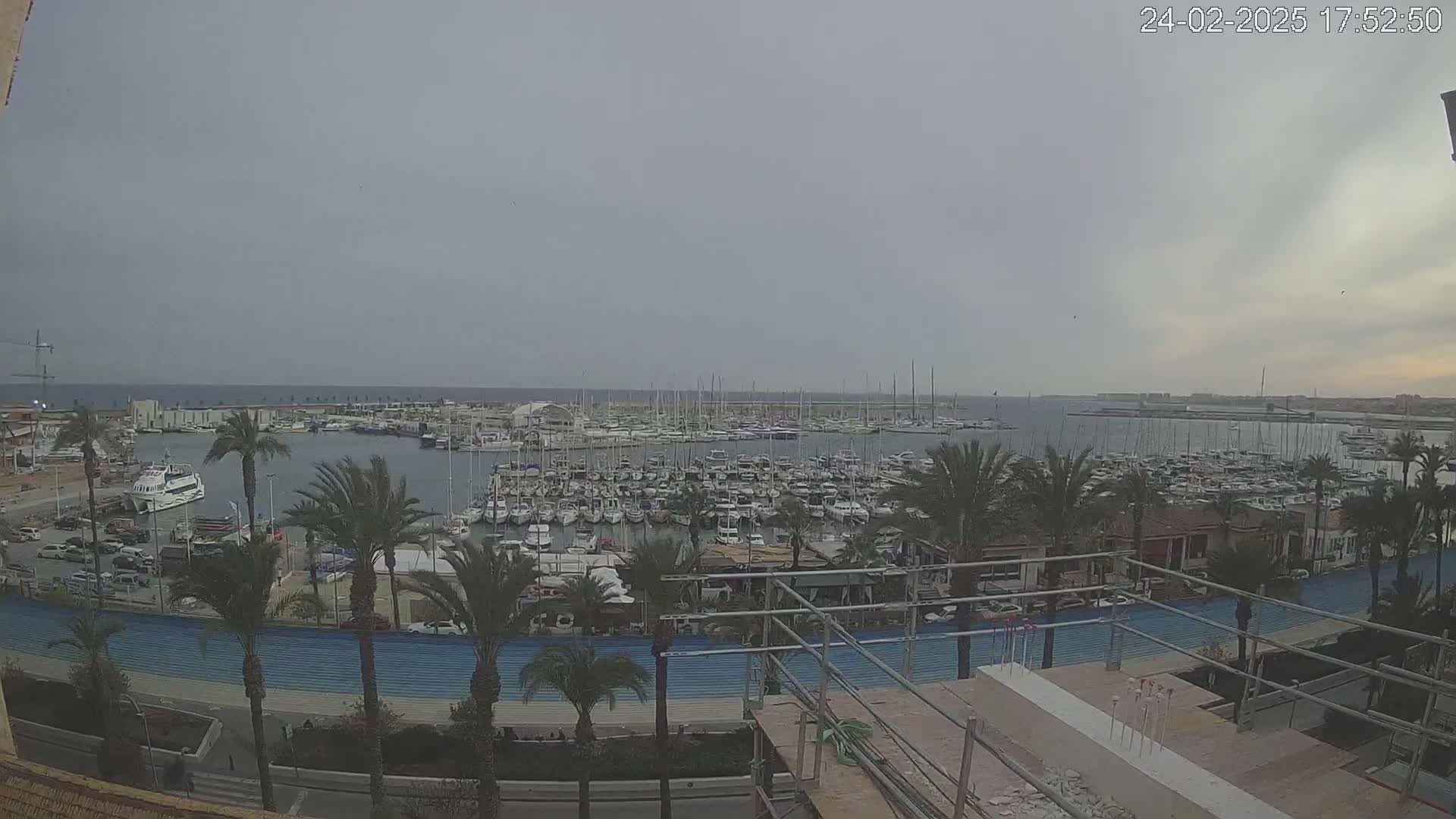 A large marina filled with numerous boats is seen under an overcast sky, with palm trees lining a roadway in the foreground.