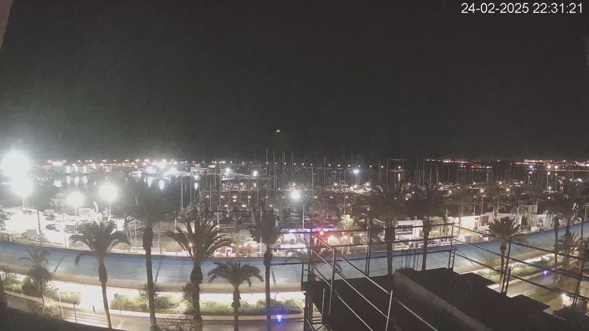 A nighttime view of a marina filled with boats, illuminated by lights, surrounded by palm trees and a curved roadway under a clear, dark sky.