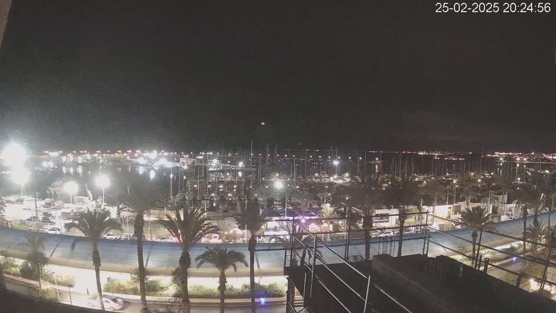 A nighttime view of a marina filled with boats, surrounded by palm trees and lit by artificial lights.