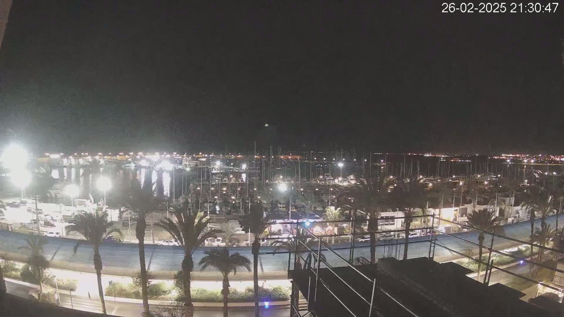 A nighttime view of a marina filled with boats, illuminated by lights, surrounded by palm trees under a clear, dark sky.