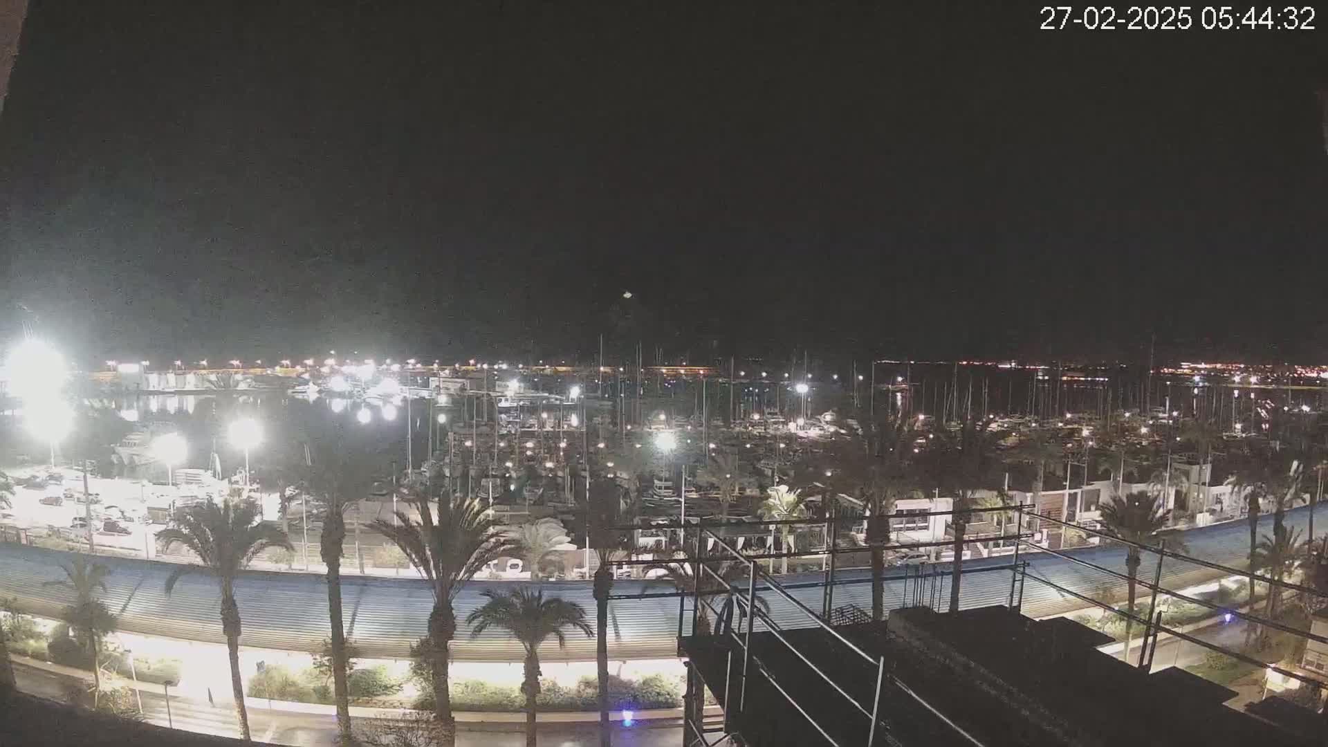 A nighttime, aerial view of a marina filled with boats, illuminated by lights, surrounded by palm trees and a curved structure.