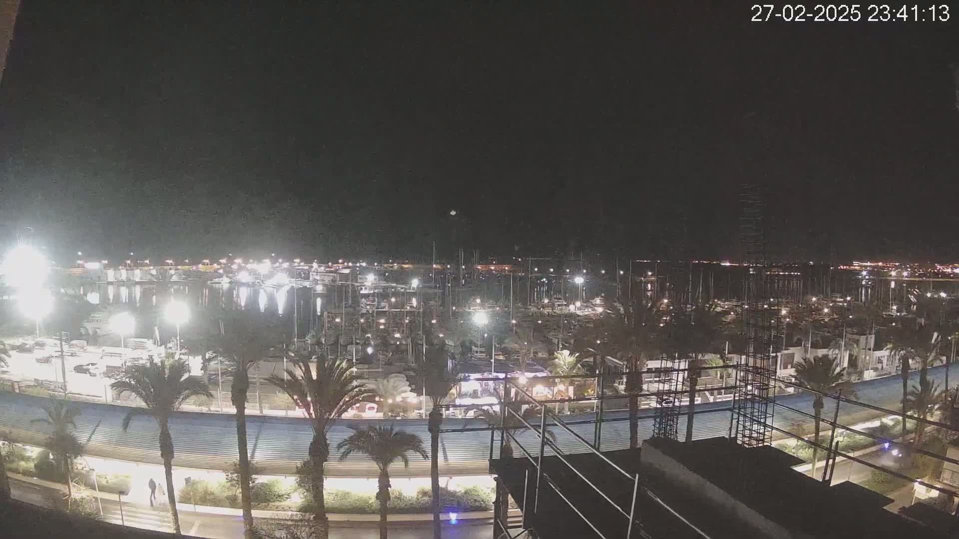 A nighttime view of a marina filled with boats, illuminated by lights, surrounded by palm trees and a walkway under a clear, dark sky.