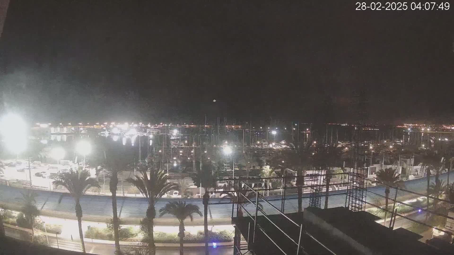 A nighttime view of a marina filled with boats, illuminated by lights, with palm trees lining a walkway along the waterfront under a clear, dark sky.