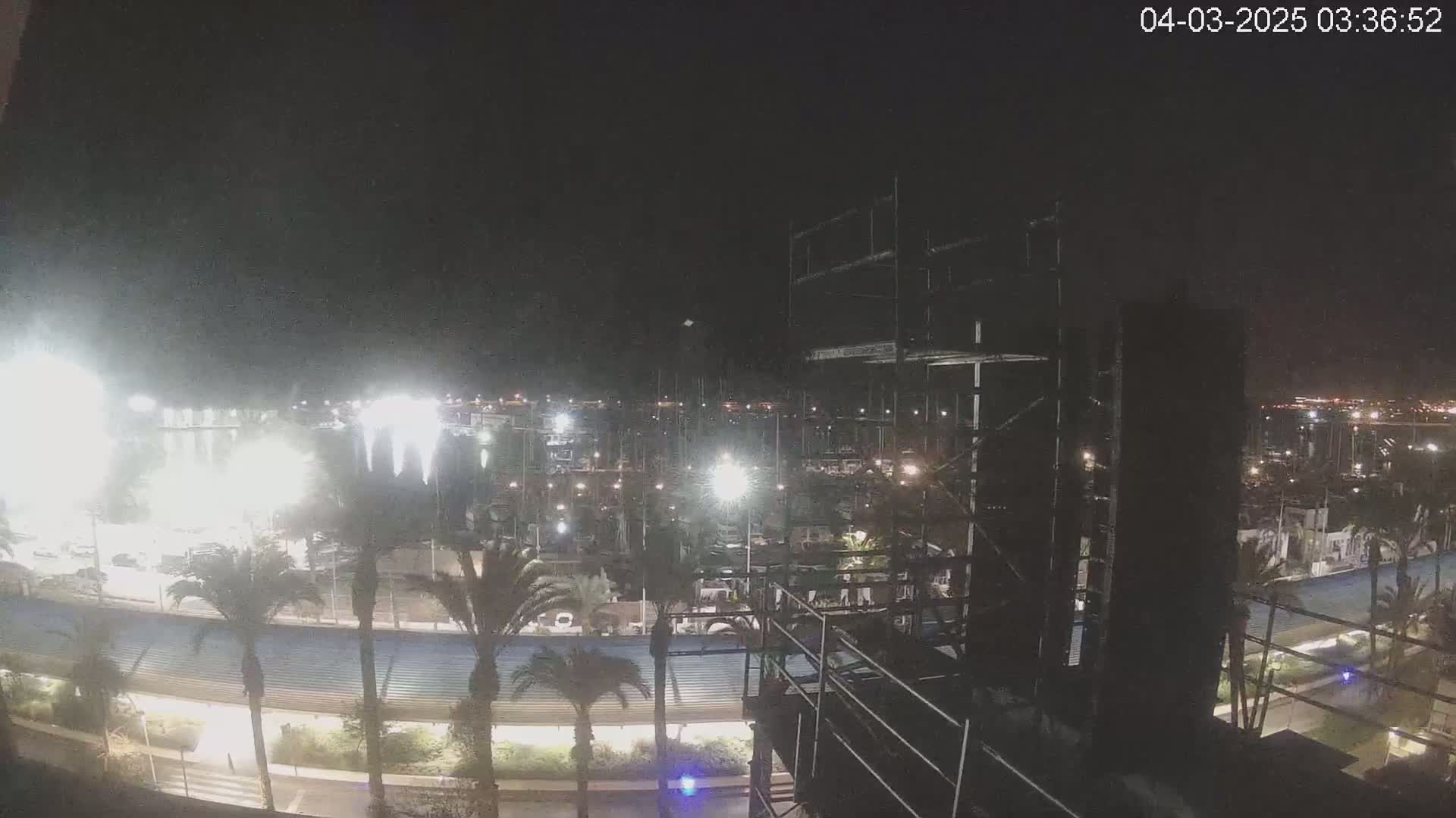 A nighttime view of a marina with brightly lit boats and palm trees lining a roadway under a dark, clear sky.