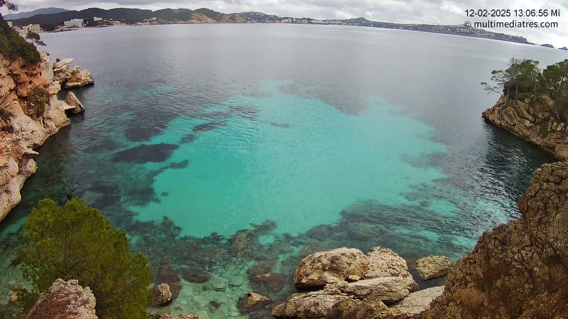 A cove of clear, turquoise water is surrounded by light brown, rocky cliffs and a small pine tree, with a distant coastline visible under an overcast sky.