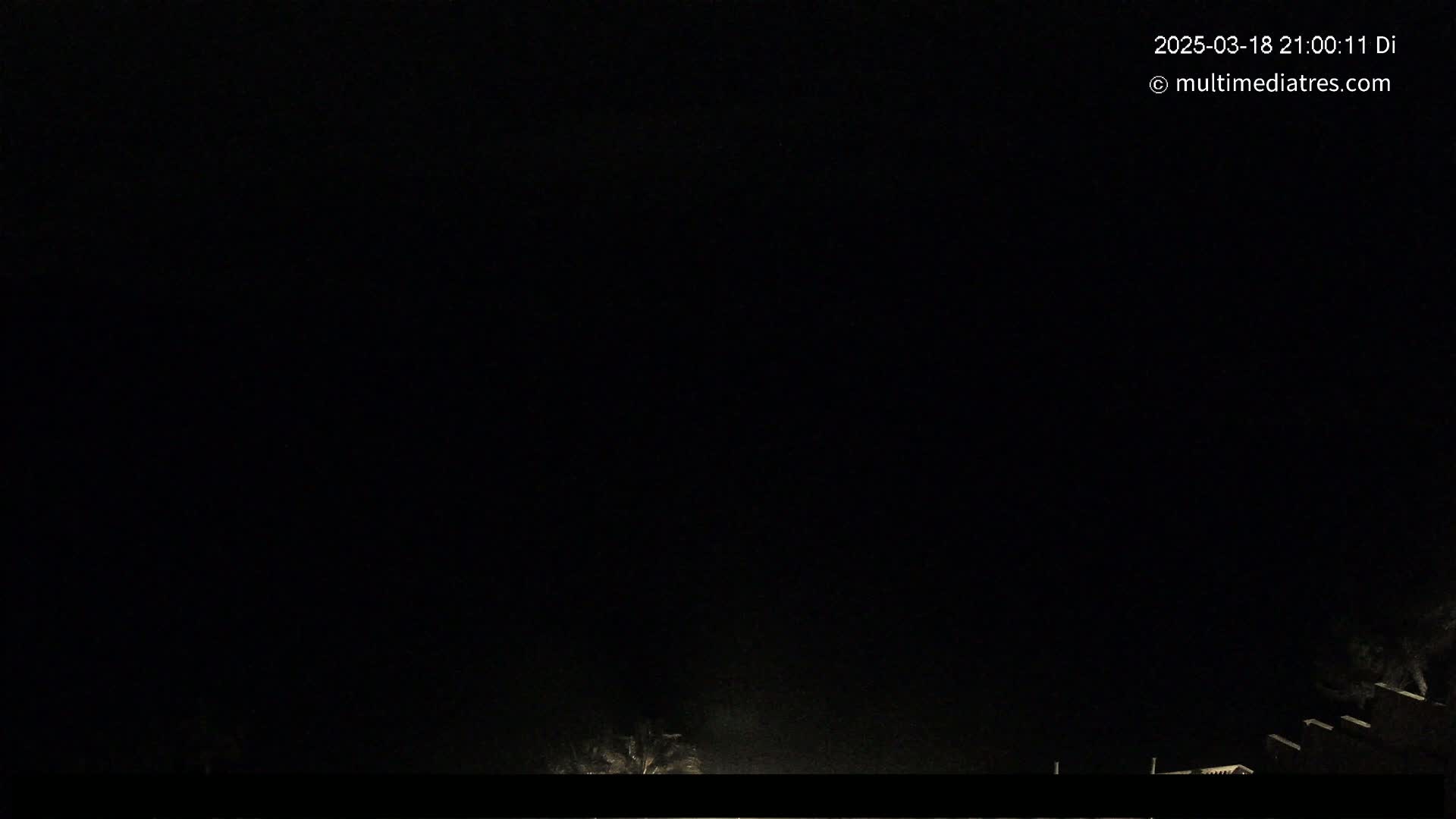 A nighttime, dark image shows a very low-light view of vegetation at the bottom of the frame against a completely black sky.