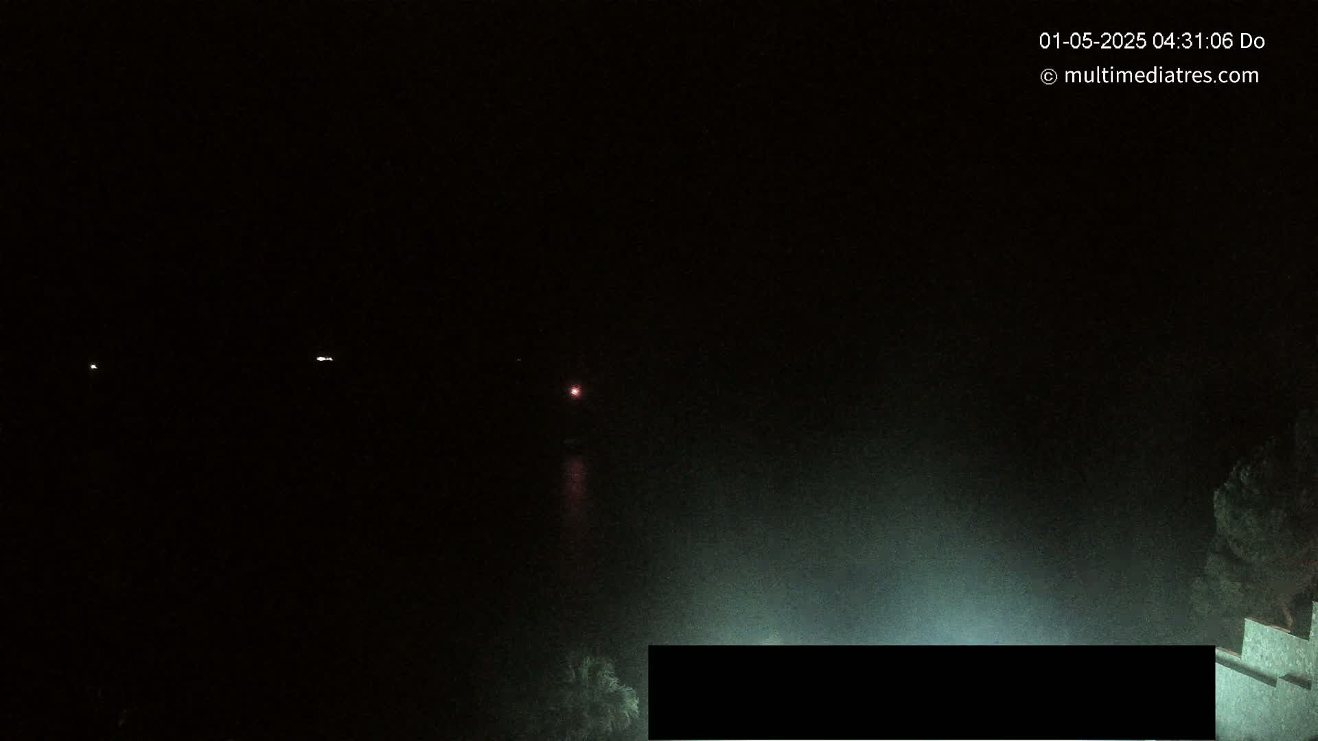 A nighttime, hazy view of a dark body of water with faint lights on the far shore and some vegetation to the bottom right.