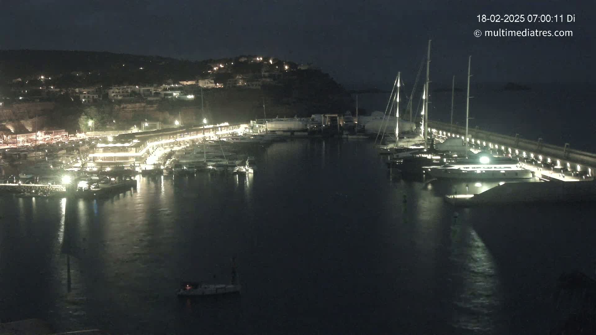A nighttime view of a marina filled with boats, illuminated by lights, situated beside a hill with buildings.