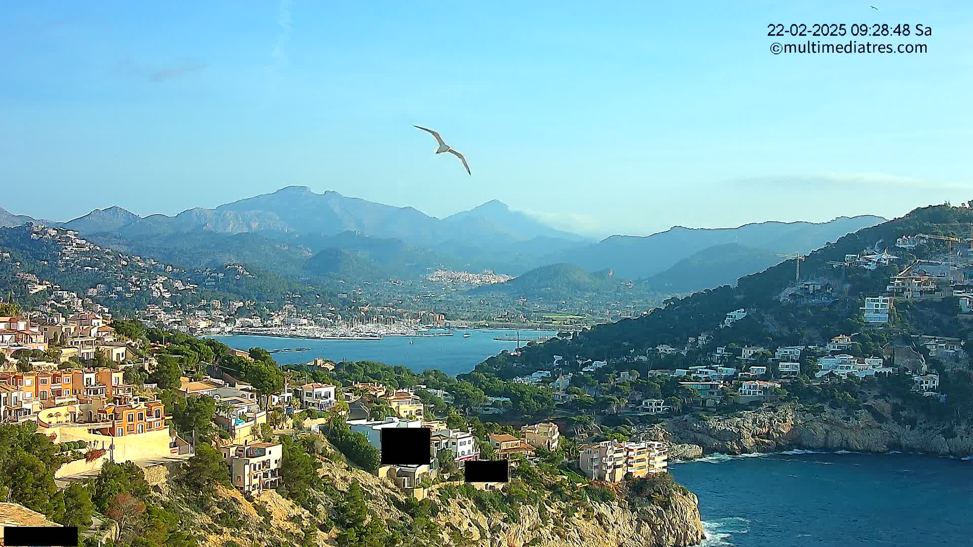 A seagull flies over a coastal town nestled against a mountain range under a clear blue sky.