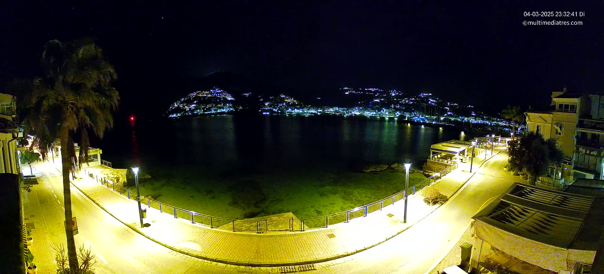 A nighttime view of a waterfront area with a palm tree, lit pathways, and a town illuminated across the water under a clear, starry sky.