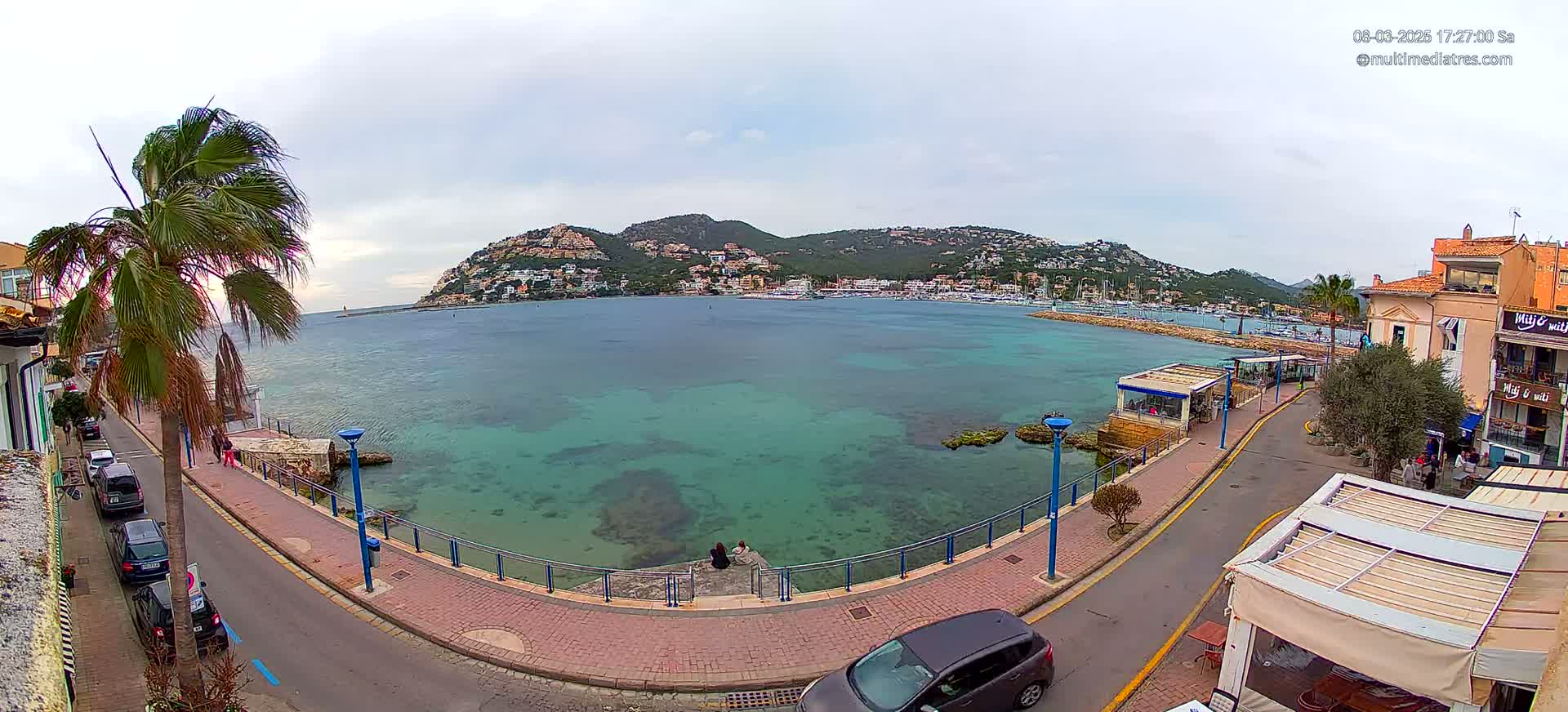A coastal town scene with a calm, teal-colored bay, a hill covered in buildings in the background, and a windy day with palm trees blowing in the breeze.