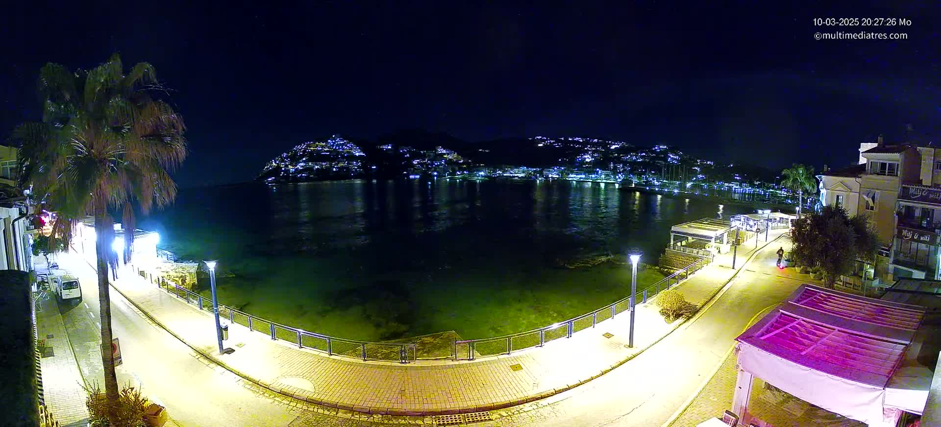 A nighttime view of a calm, dark-green body of water bordered by a paved walkway with lights, buildings, and a palm tree, all under a clear, starry sky.