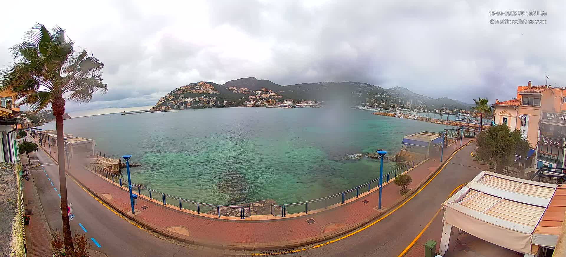 A windy, overcast day reveals a coastal town scene with a calm, teal-colored bay, a hill dotted with buildings in the background, and a palm tree bending in the breeze.