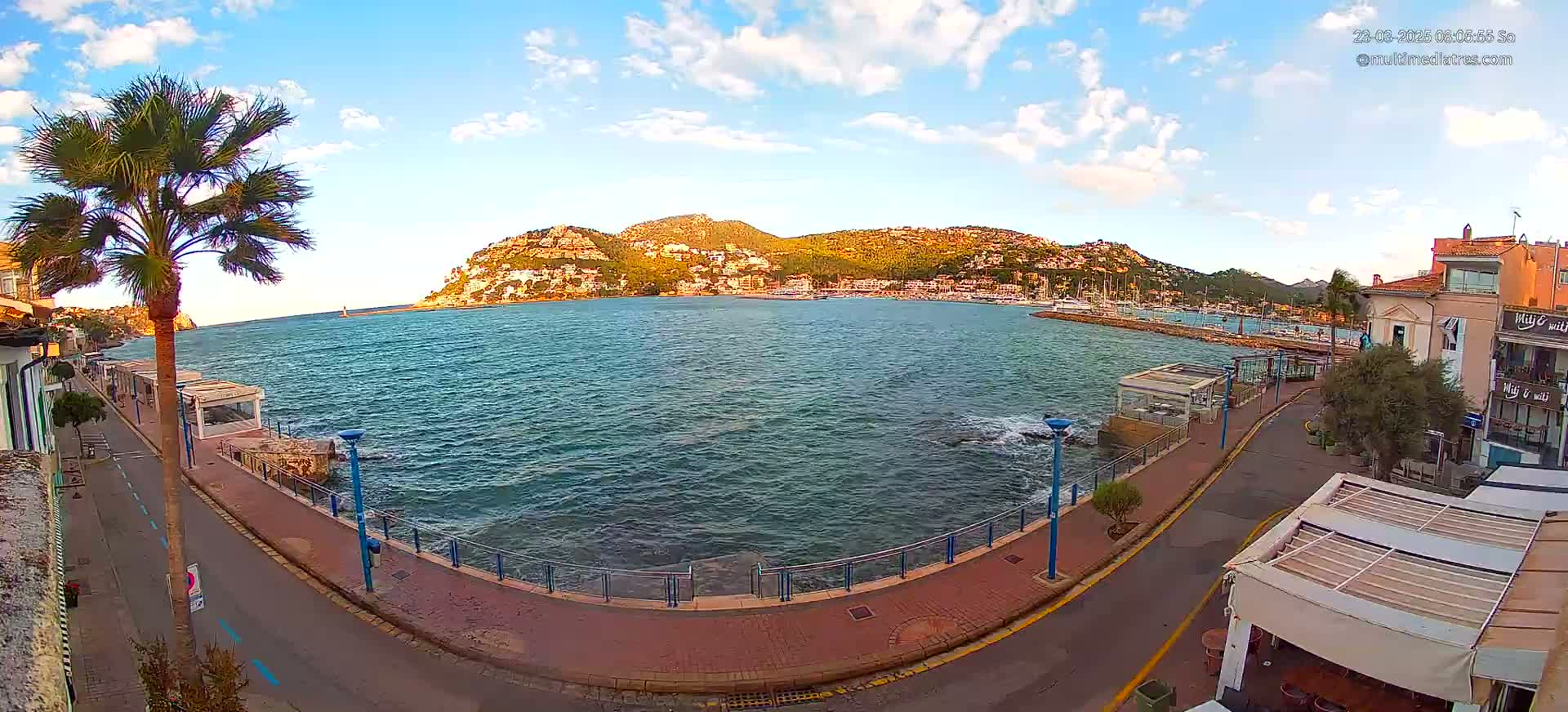 A seaside town with a palm tree, a paved walkway, and buildings overlooks a calm bay with a hill in the background under a partly cloudy sky.