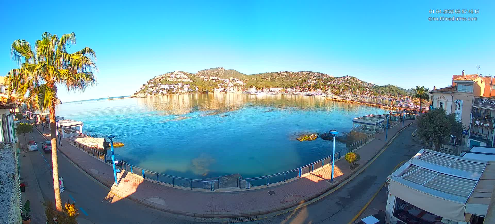 A clear, sunny day reveals a waterfront scene with a calm, blue bay, a palm tree, and buildings lining a paved walkway, all nestled against a hillside town.