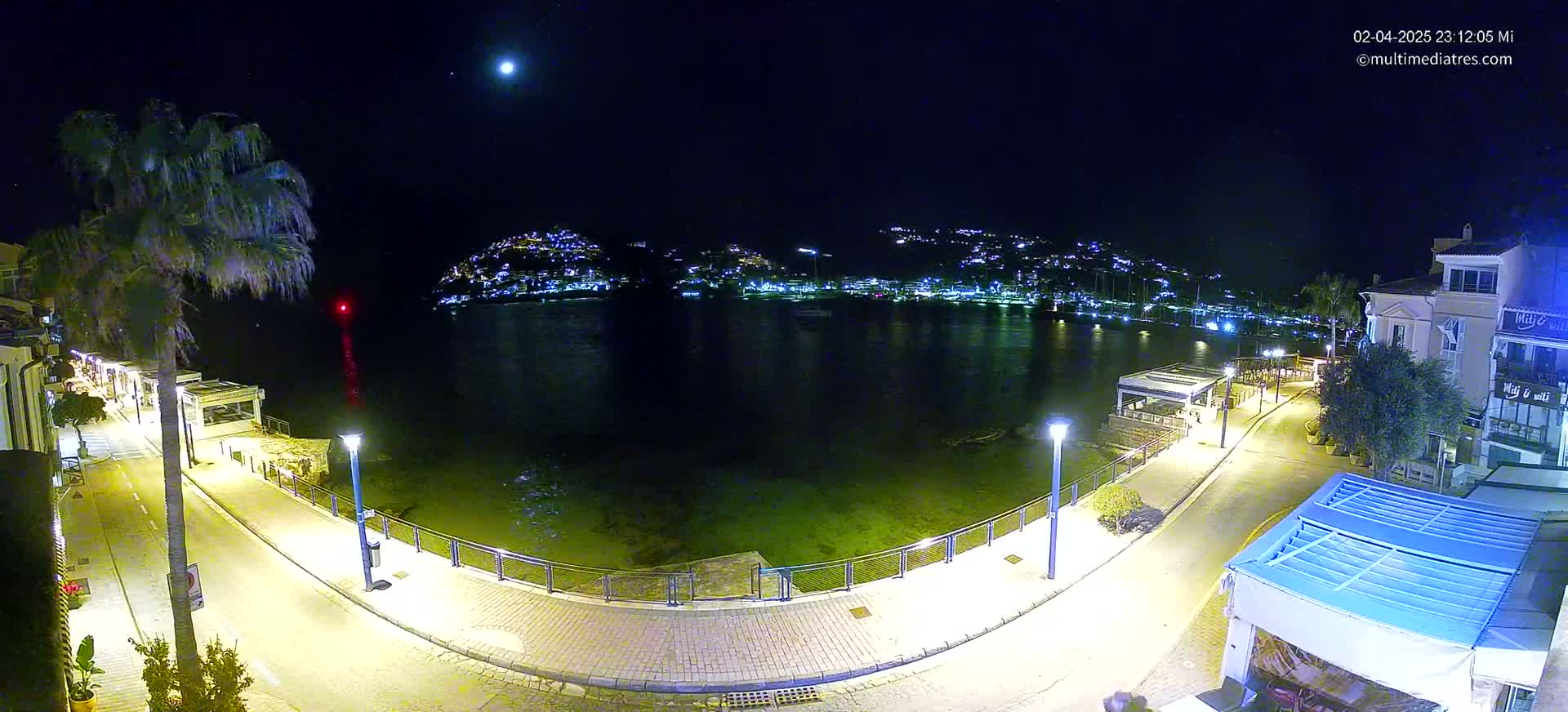 A nighttime view of a calm harbor with a moon in the sky, illuminated by streetlights along a waterfront road lined with buildings and palm trees.