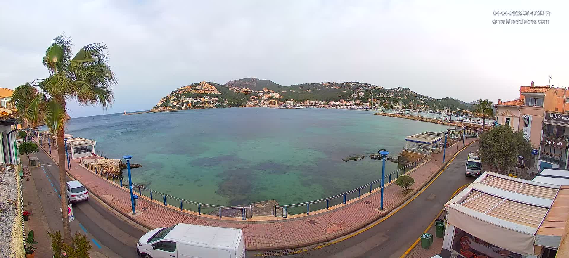 A seaside town on a partly cloudy day, with a calm bay filled with boats, and a palm tree bending in the wind.