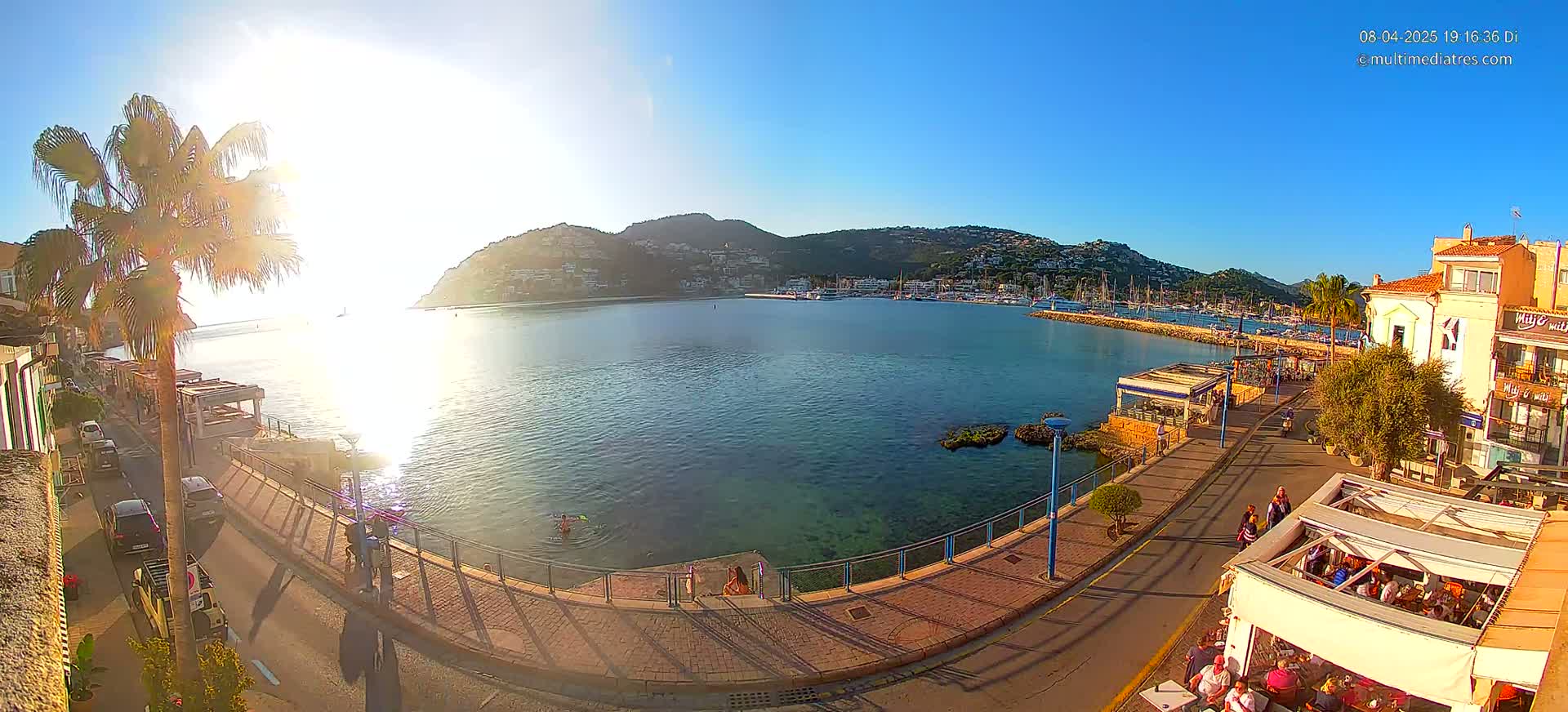 A sunny waterfront scene shows a calm bay with boats in a marina, a paved walkway lined with buildings and people, and a palm tree in the foreground.