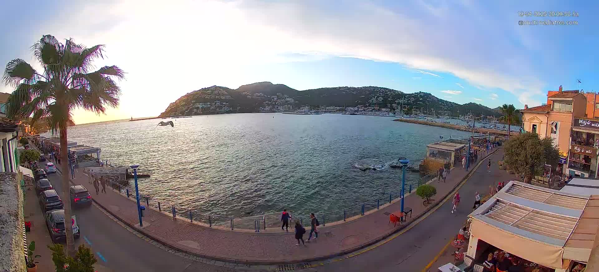 A seaside town at sunset, with calm water, a harbor filled with boats, people strolling along a paved waterfront promenade, and palm trees lining the street.