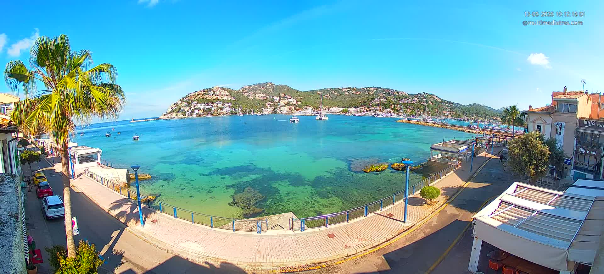 A clear sunny day reveals a harbor filled with boats, nestled between a palm-lined walkway and a hillside dotted with buildings.
