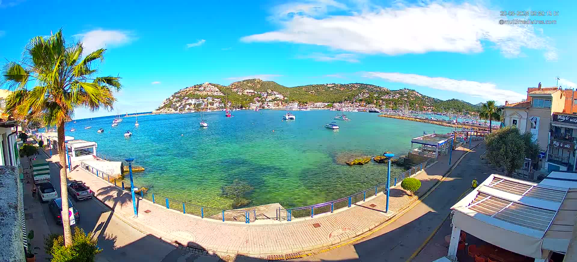 A sunny day shows a harbor filled with boats, a town nestled against a hillside, and a palm tree shading a waterfront walkway.