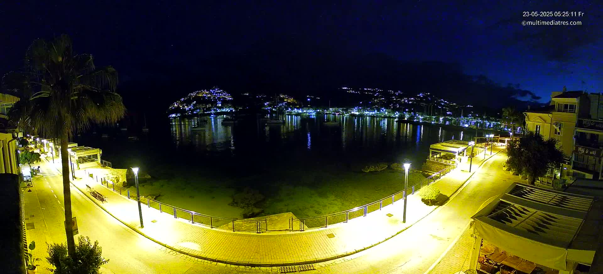 A nighttime view of a harbor, illuminated by streetlights, with a palm tree and buildings visible along a waterfront promenade under a mostly clear, dark sky.
