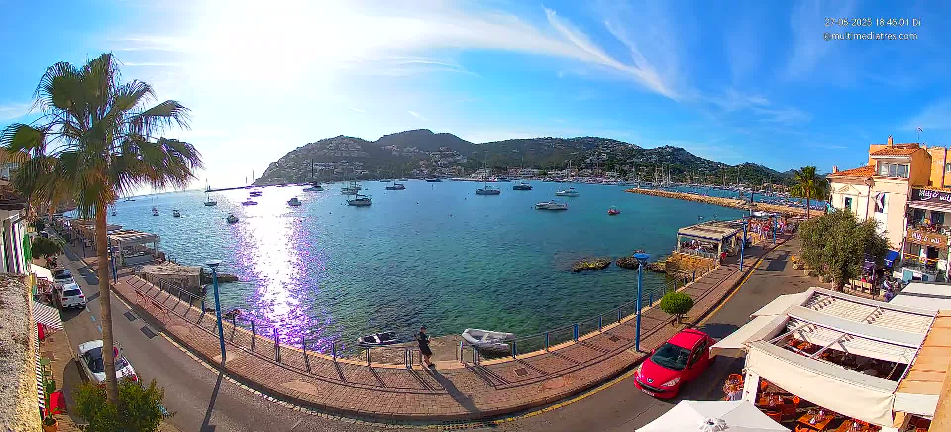 A sunny harbor scene shows numerous boats in a calm bay, bordered by a paved walkway, buildings, and palm trees under a clear blue sky.