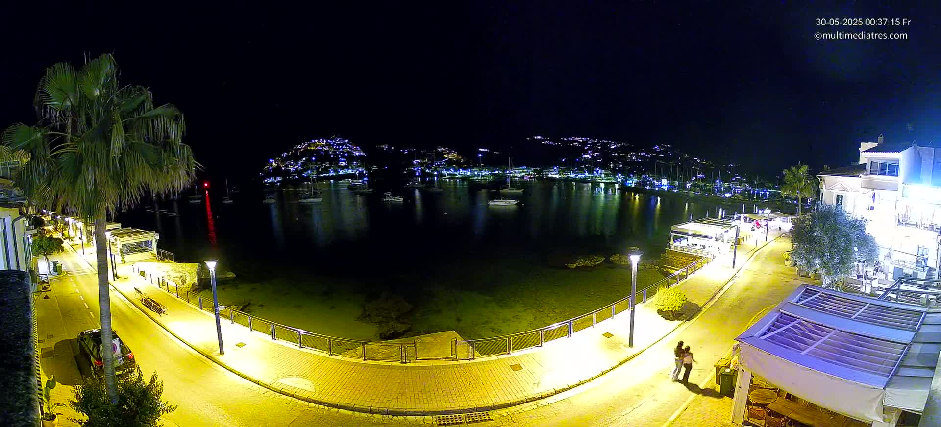 A nighttime, waterfront scene shows a calm bay filled with boats, a paved walkway lined with lights and buildings, and a palm tree near the road.