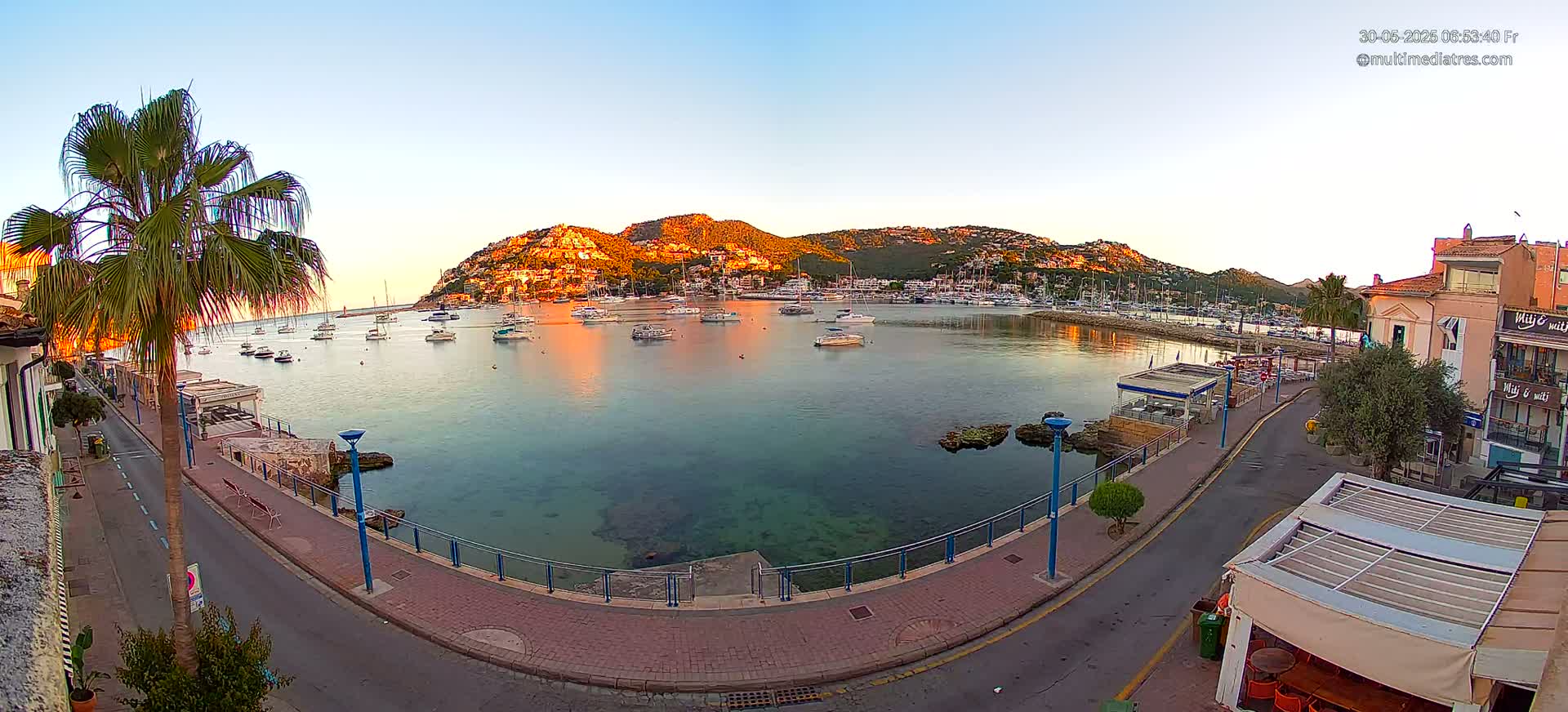 A calm harbor filled with boats sits at the base of a sunlit hill, next to a paved waterfront road lined with palm trees and buildings under a clear sunrise sky.