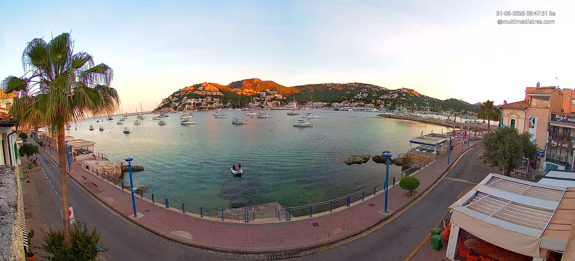 A calm bay filled with numerous boats is seen from a seaside town at sunrise, with a palm tree and buildings lining a paved walkway.