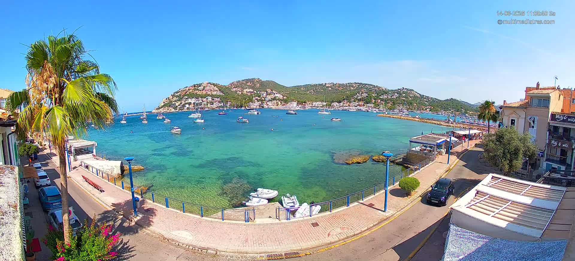 A clear sunny day shows a calm harbor filled with boats, surrounded by a town with buildings and palm trees, a paved walkway, and parked cars.