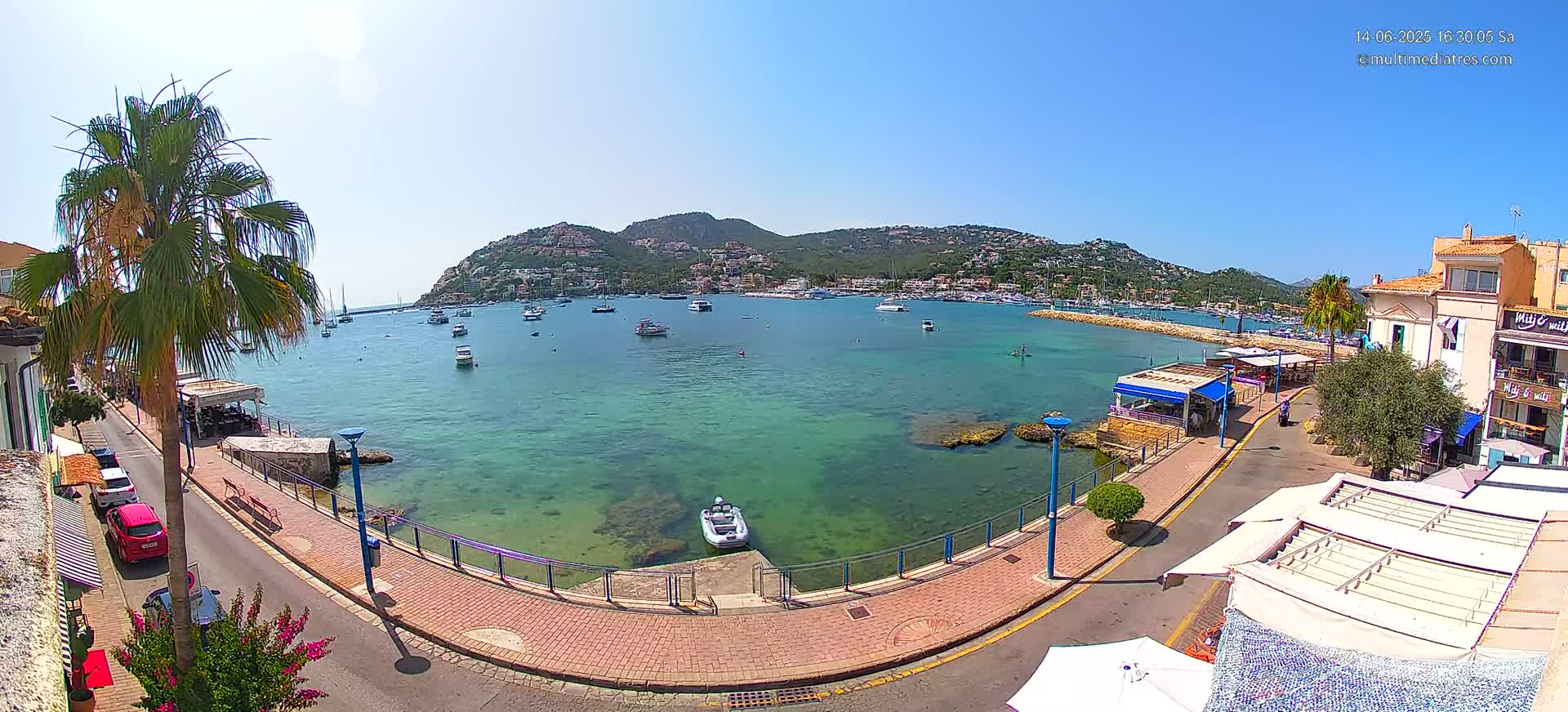A sunny harbor scene with clear, teal water, numerous boats, a palm tree-lined walkway, and buildings along a shoreline, backed by a hillside of homes.