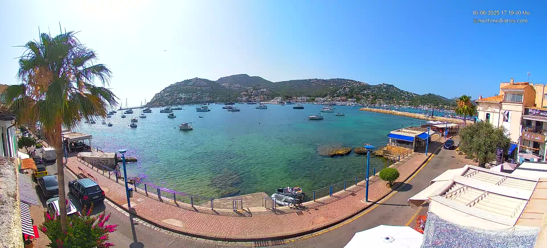 A sunny harbor scene shows numerous boats moored in clear, turquoise water, with a palm tree and buildings lining a paved waterfront path.