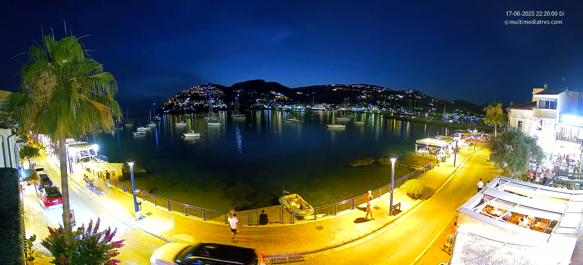 A nighttime view of a harbor filled with boats, illuminated by streetlights, with a palm tree and buildings along the shore under a clear, dark blue sky.