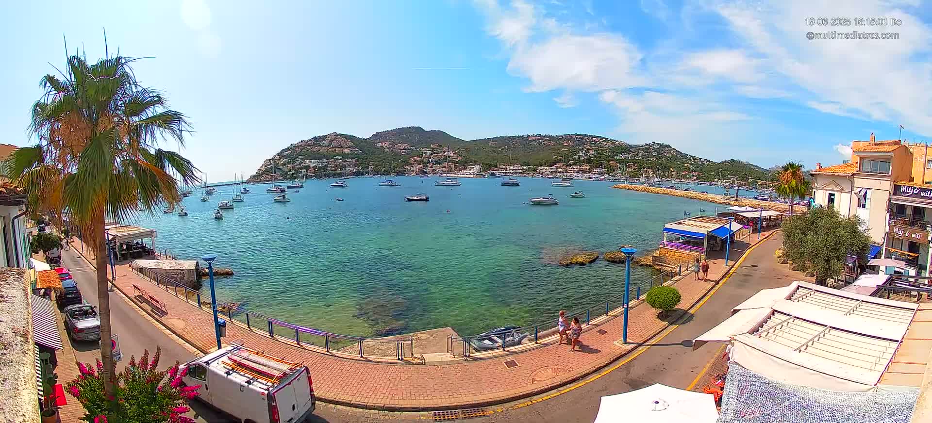 A sunny day overlooking a harbor filled with boats, a town nestled against a hillside, and a palm tree lining a paved walkway.