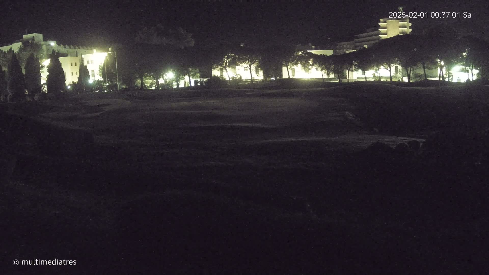At night, illuminated buildings are partially visible behind a line of trees and a dark, grassy area.