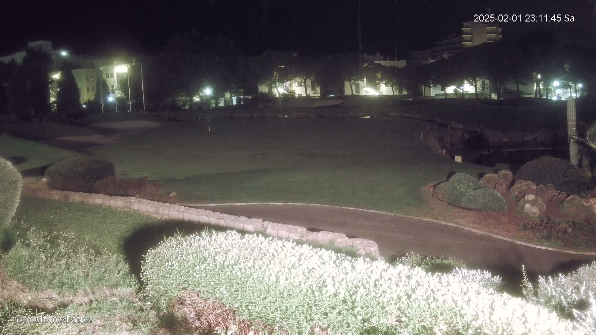 A nighttime view of a golf course with low-lying shrubs and buildings in the background.