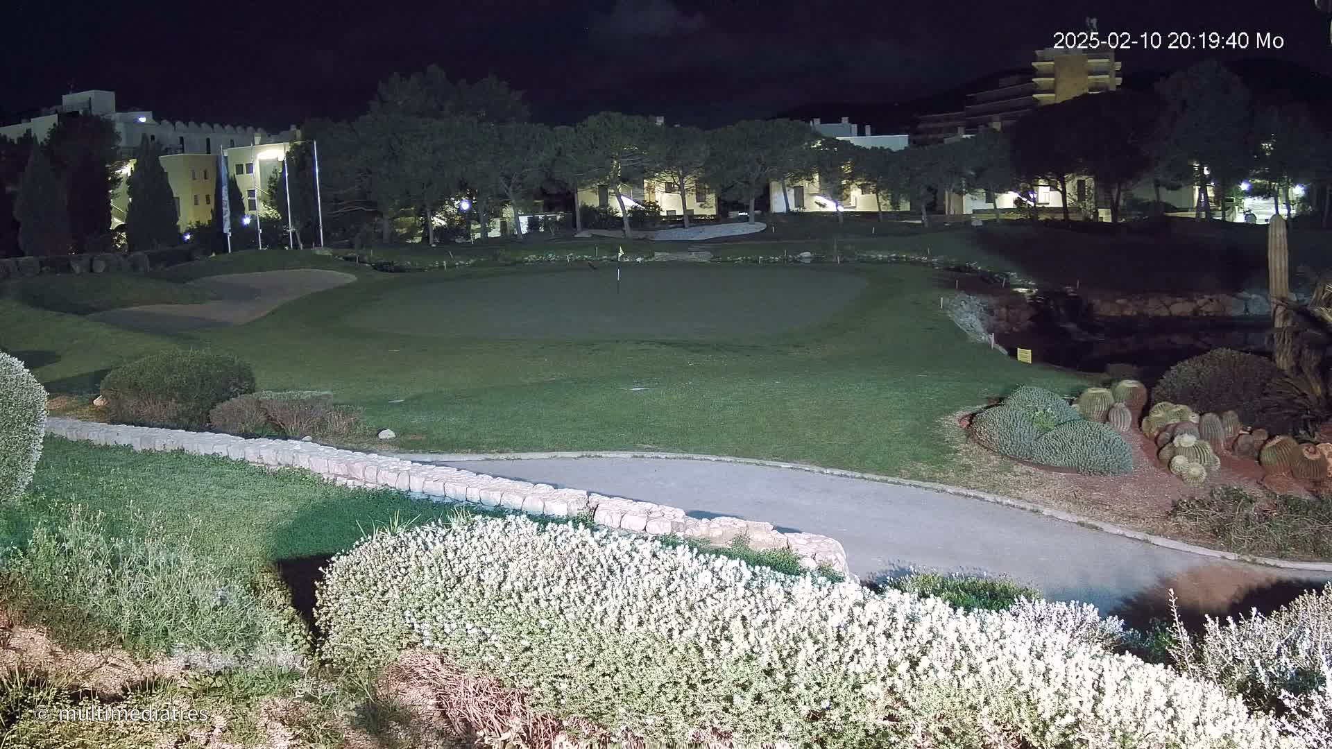 A lit putting green at night is surrounded by landscaping, including shrubs and cacti, with buildings visible in the background.
